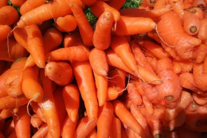 Winter Superfood: रोजाना 1 गाजर खाने से पास नहीं फटकेंगी मौसमी बीमारियों, कैंसर का जोखिम भी होगा कम