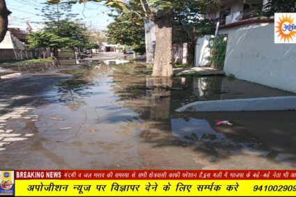 गंदगी व जल भराव की समस्या से सभी क्षेत्रवासी काफी परेशान भाजपा के बड़े-बड़े नेता भी आते रहते हैं,इस गली
